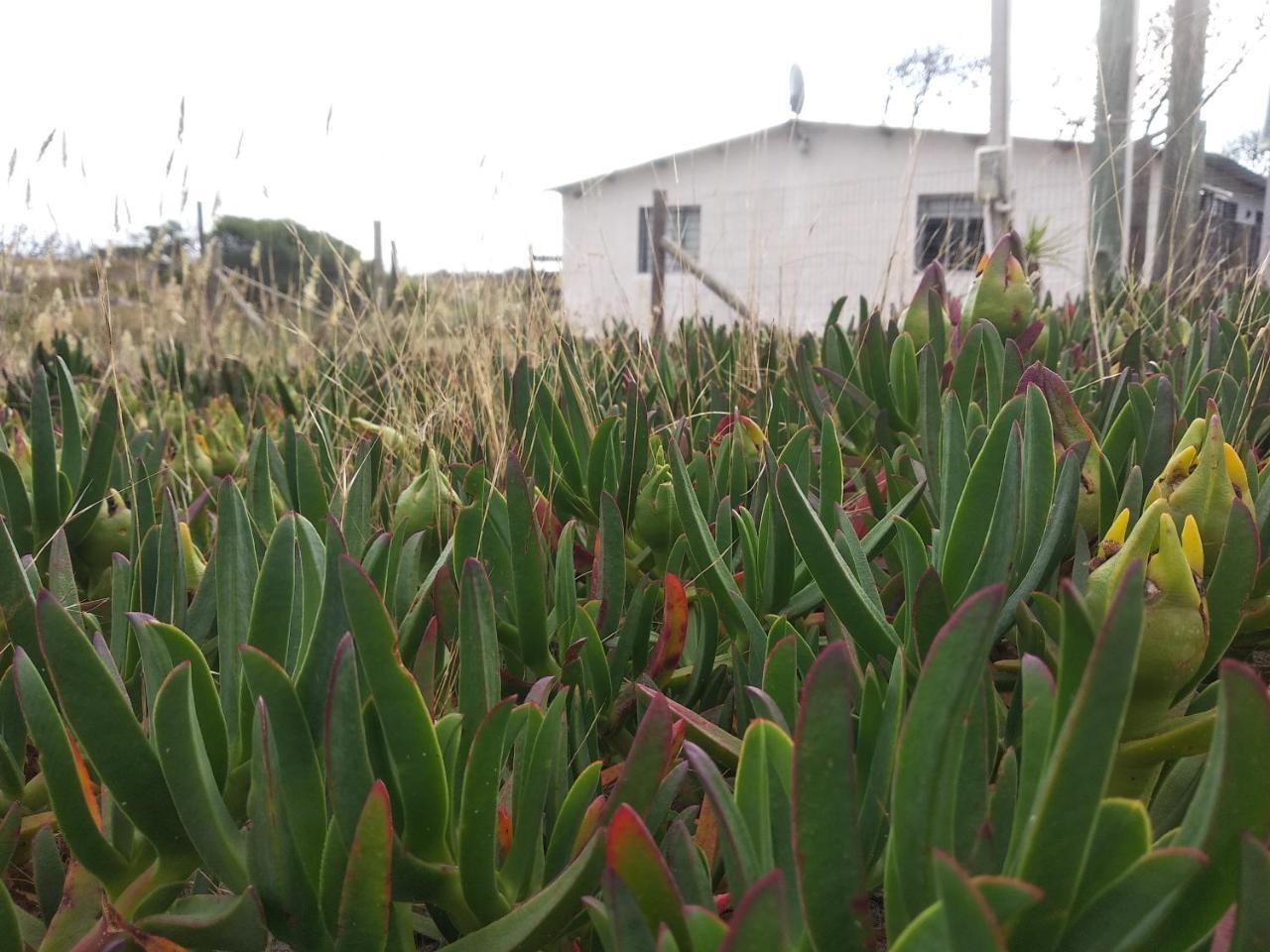 La Casa De Juan Villa Cuchilla Alta Bagian luar foto